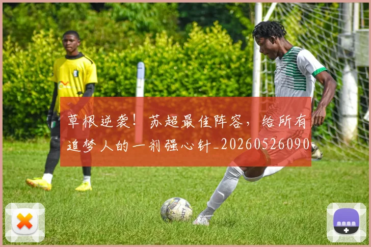草根逆袭！苏超最佳阵容，给所有追梦人的一剂强心针_20260526090406