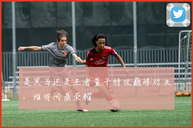 是黑马还是王者量子特攻巅峰对决，谁将问鼎荣耀