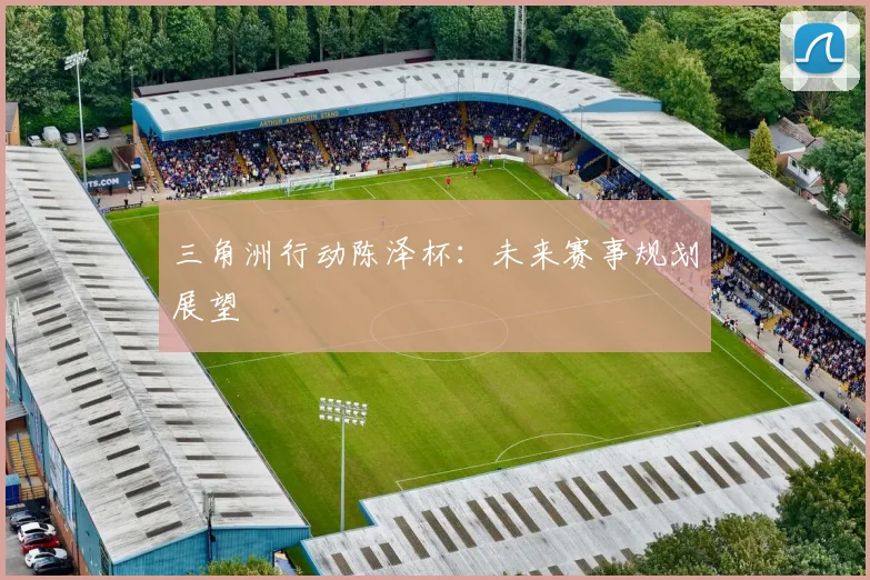 三角洲行动陈泽杯：未来赛事规划展望
