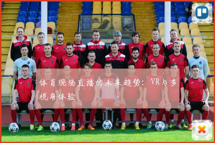 体育现场直播的未来趋势：VR与多视角体验