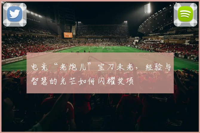 电竞“老炮儿”宝刀未老，经验与智慧的光芒如何闪耀奖项