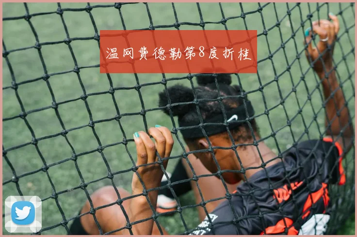 温网费德勒第8度折桂